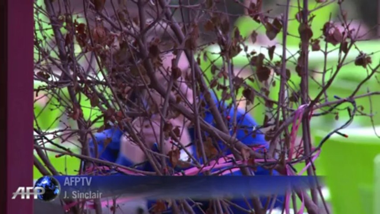 Folter in Assads Kerkern: Syrerin berichtet von Gräueltaten