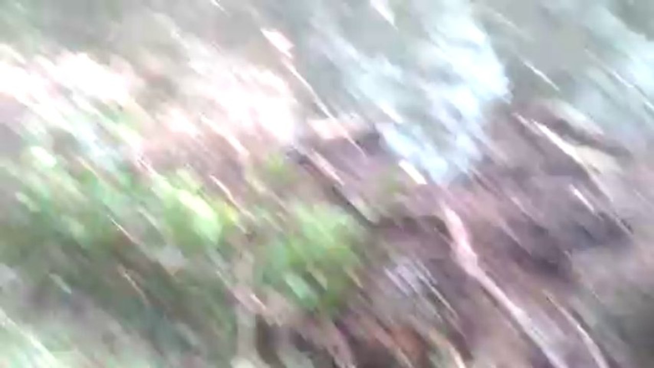 Tracteur LS U60 treuil Krpan 4,5T