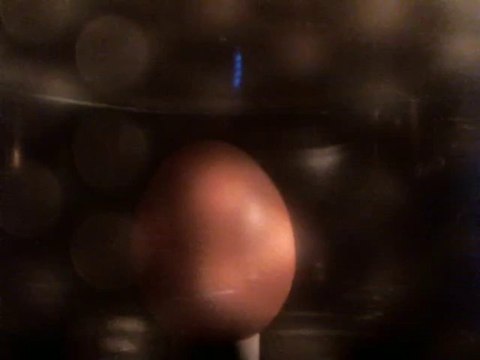 Explosion d'un œuf dans un four à micro-ondes