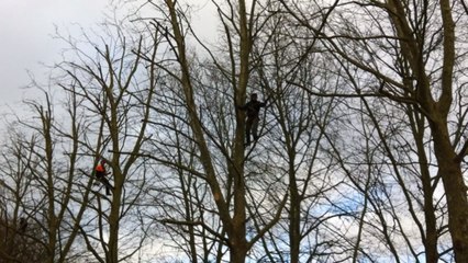 Nettoyage du jardin public