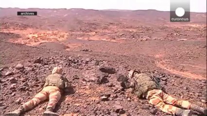 Couple franco-allemand: Fabius et Steinmeier comptent voyager ensemble