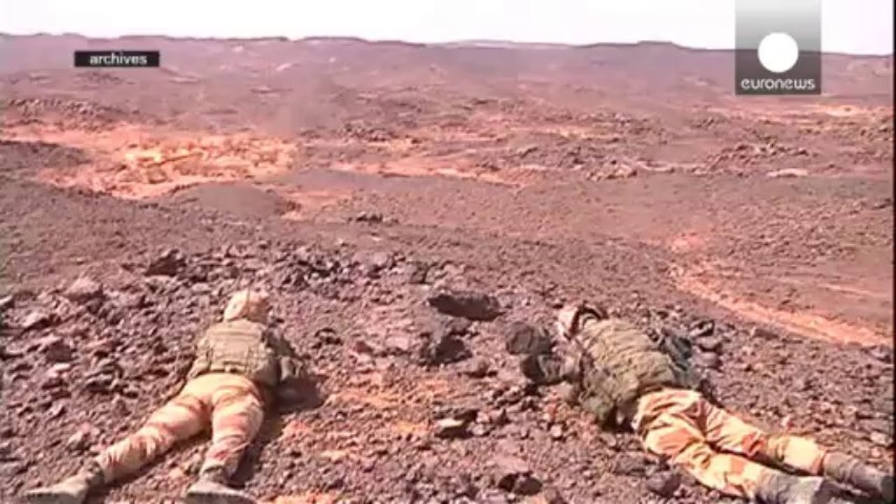 Couple franco-allemand: Fabius et Steinmeier comptent voyager ensemble