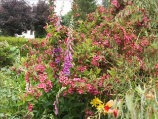 Parler à mon père. Déjà 2 ans que Pierre nous a quitté.