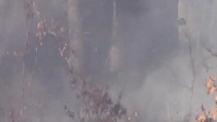 Pazaryeri'nde Arazi Yangını
