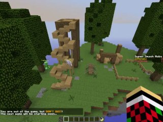 Mineplex fly hacker