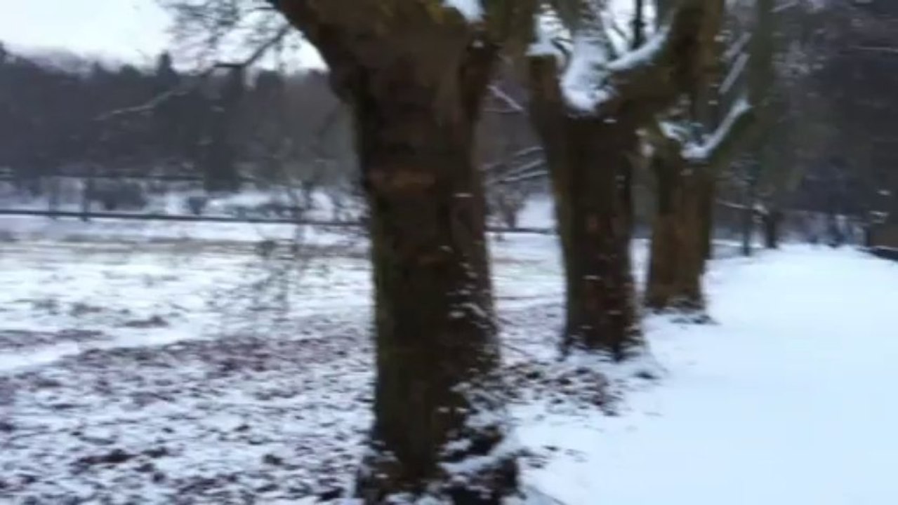 The first snow