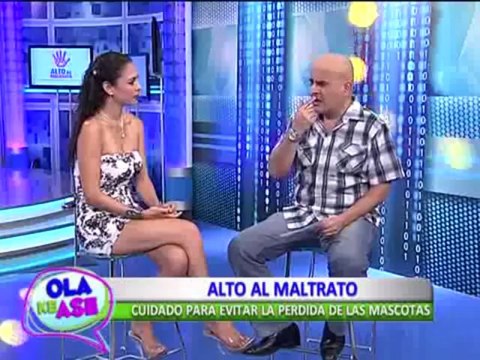 Segmento Alto al Maltrato: Sepa cómo evitar la pérdida de las mascotas