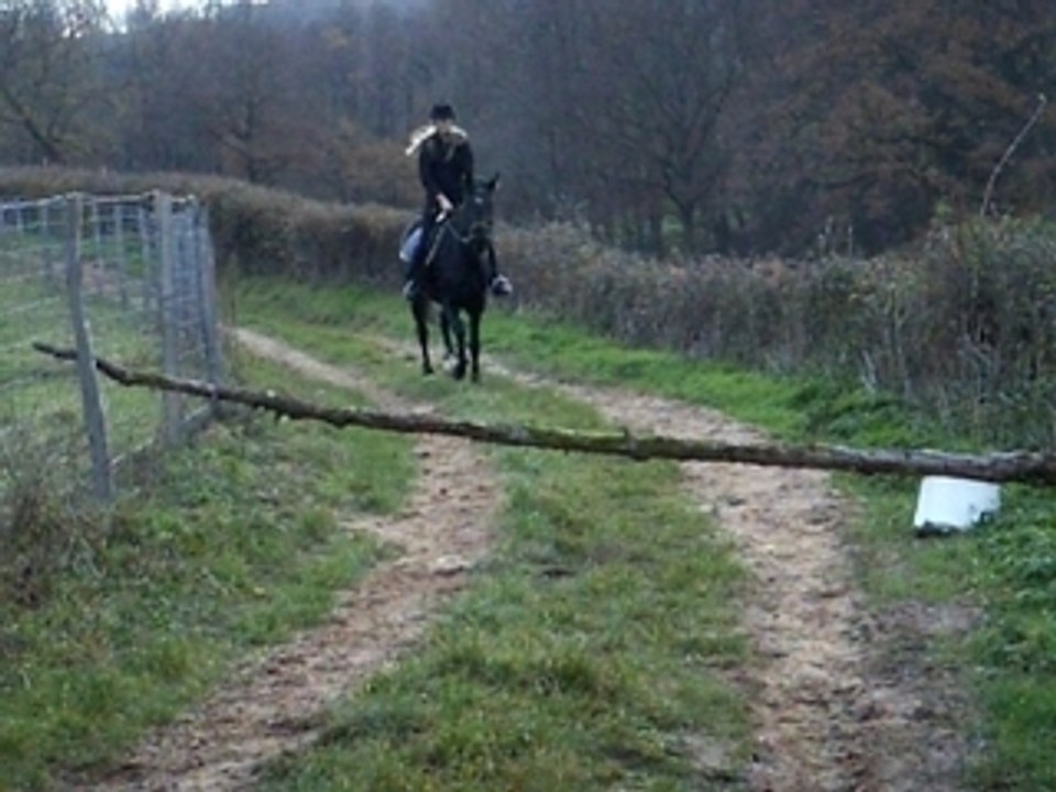 Pepsy saut 1