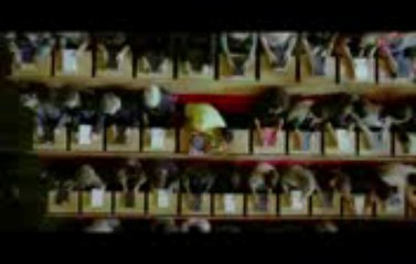 get your love back by vashikaran 9815432022