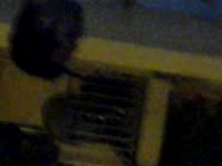 Tu tè vu kan ta bu? 2