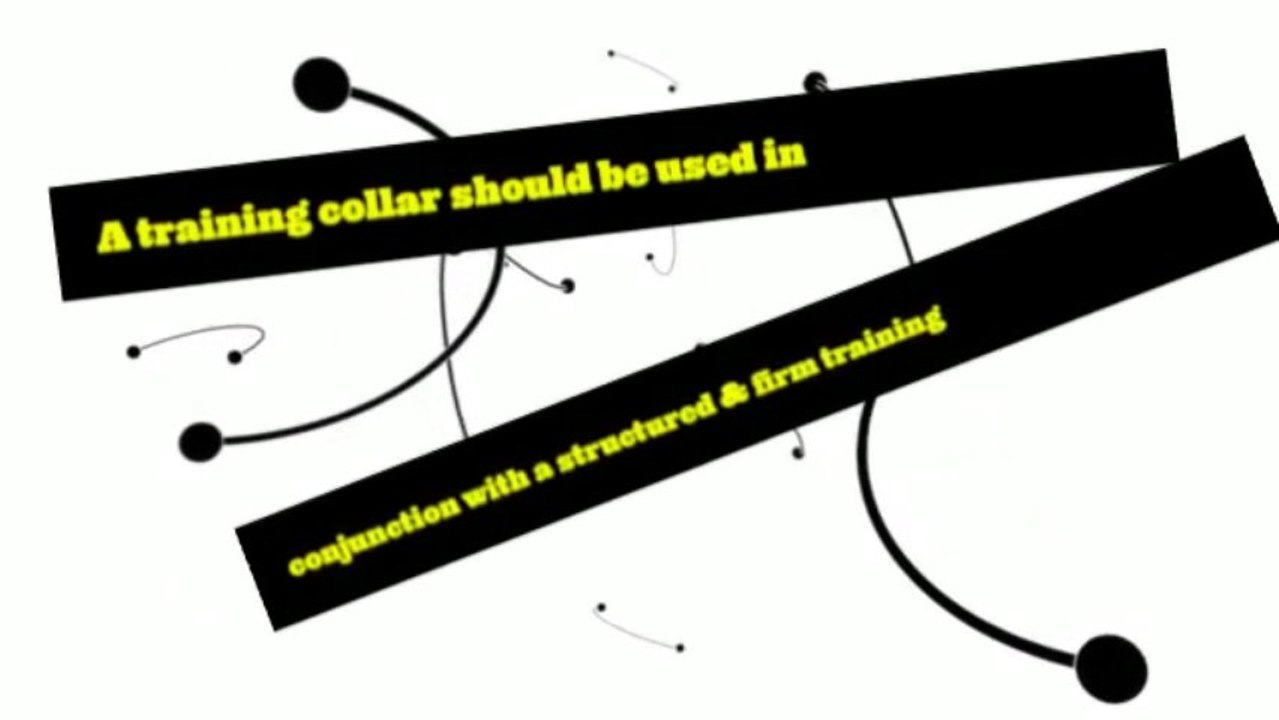 The Issues with Shock Type Dog Training Collar