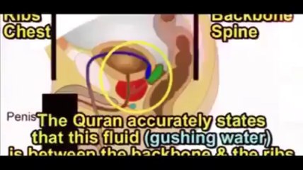 ‫Jago Sunni Jago - اسلام , سائنس اور ہم‬