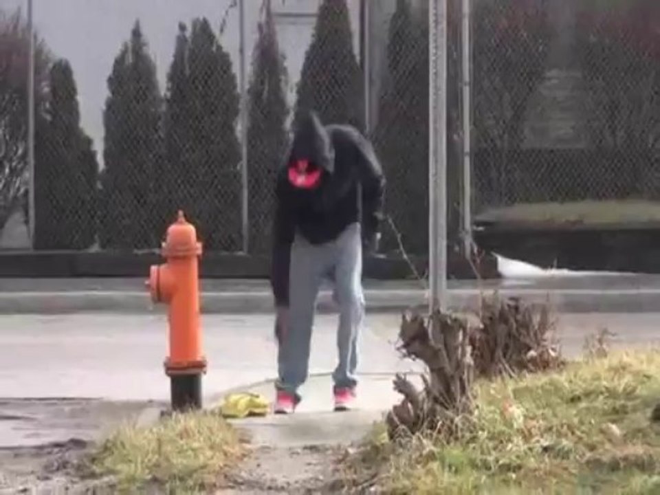 Snake In Purse Prank (Video Funny)