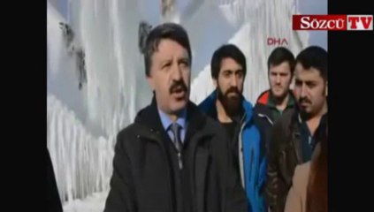 Profesörden kesik "öküz başlı" sanat