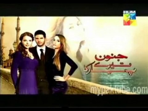 Junoon Tere Piyar Ka Episode 133 Hum Tv 21 January 2014 Turkish Drama - Watch Pakistani Tv Dramas Live Shows Morning Shows in High Quality_4