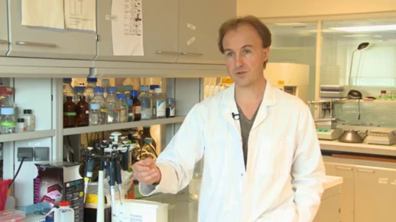 La thérapie génique : un traitement prometteur pour les maladies génétiques