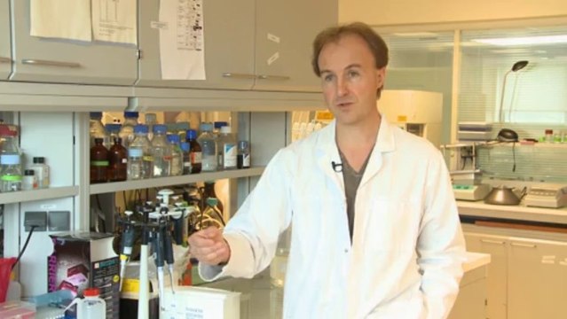 La thérapie génique : un traitement prometteur pour les maladies génétiques