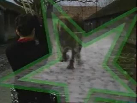 Les Désaxés - Tout ce que je veux