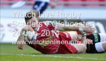 watch Rugby Scarlets v Gloucester 24 Jan online stream