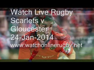 watch 2014 Scarlets v Gloucester live streaming