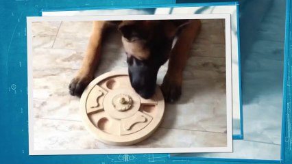 Be Aware F'Stiegl @ BrainTraining