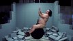 Ron Jeremy Covers Wrecking Ball Music Video