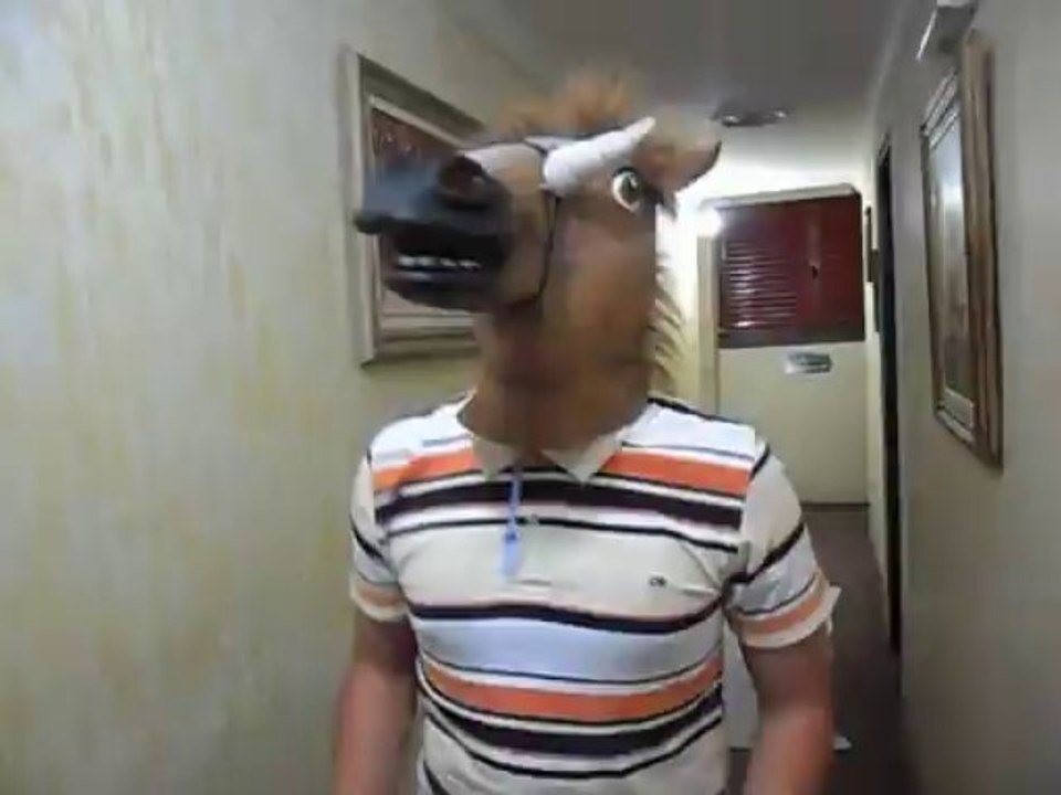 uncreative tem fobia de cabeças de cavalo