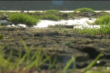 Batı'da kuraklık, Doğu'da metrelerce kar