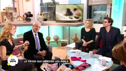 Bien protéger vos animaux du froid