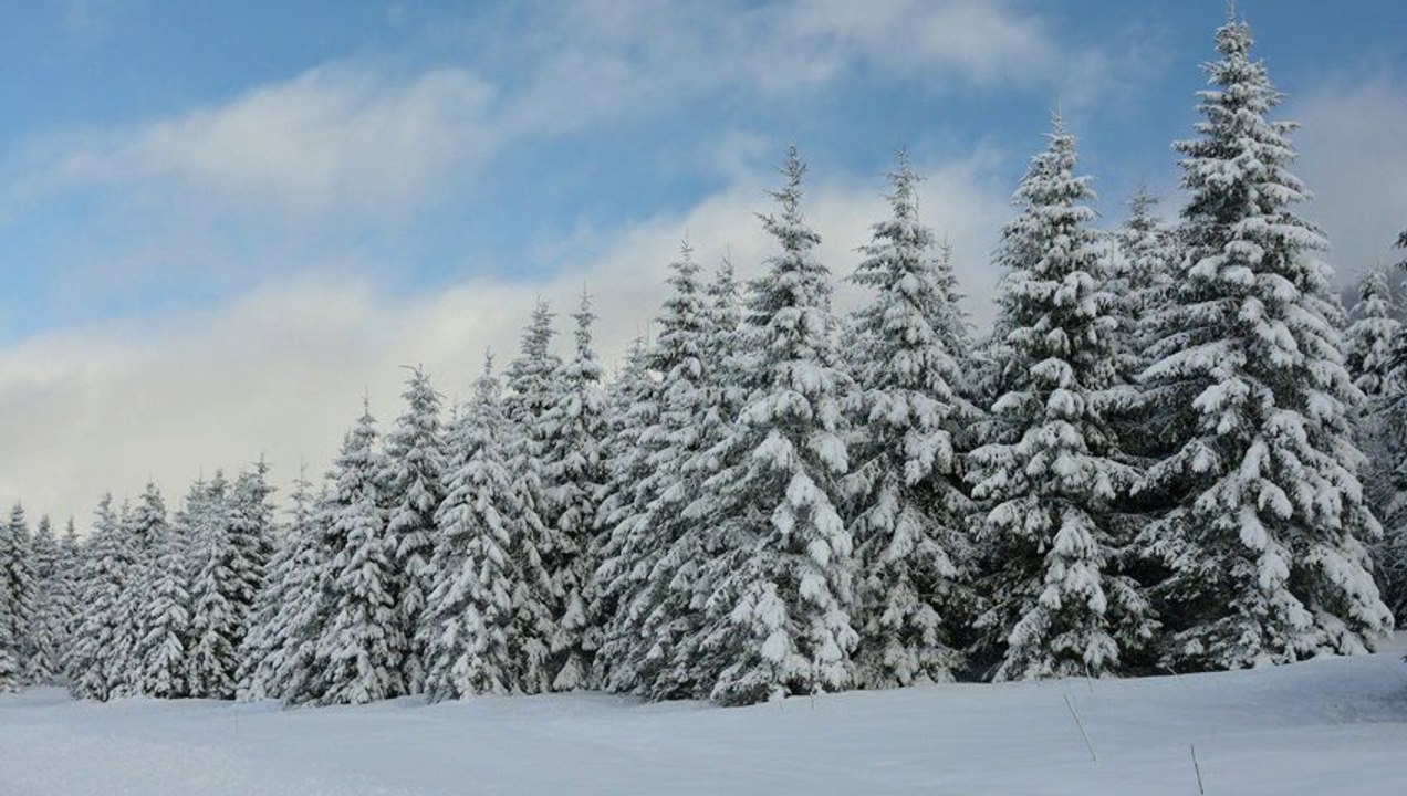 Jura 2013