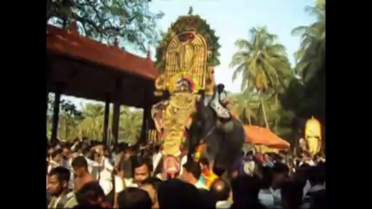 paarkadi  pooram 2012