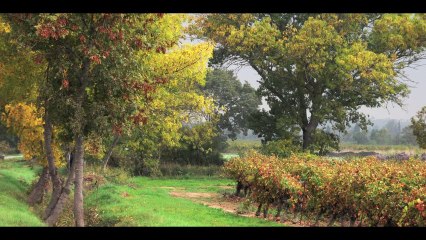 Le Mag de l'environnement, Le temps de la vigne, émission RCF  du 20 janvier 2014