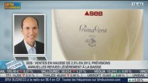 Le Groupe SEB enregistre un chiffre d'affaires en hausse de 2,5% en 2013: Vincent Léonard, dans Intégrale Bourse – 22/01
