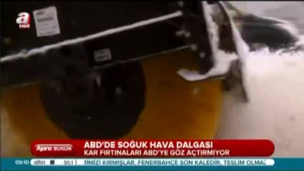 ABD'de Soğuk Hava Dalgası