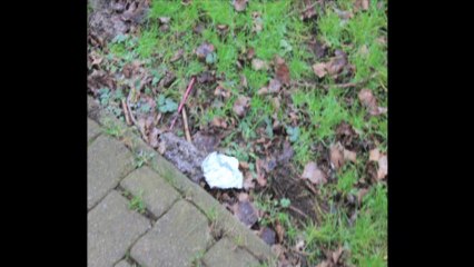 Pinneberg Wald; Hallenbad; Wasserski Arena Januar 2014 /Full Film/Complete Movie/Ganzer Film