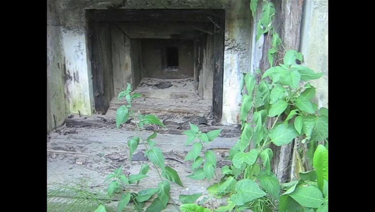 BestandAufnahme - Zwischen den Meeren 2008 /Full Film/Complete Movie/Ganzer Film