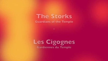 Les Cigognes "Gardiennes du Temple"
