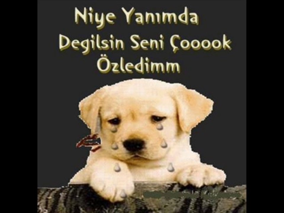 coşkun sabah  && aşığım sana