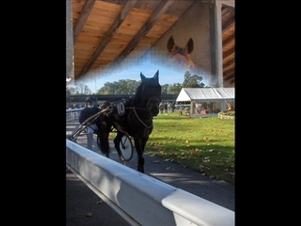 Trotteurs