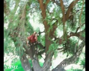 Abdou-Hikayet Gharami, by,Mohamed Islam