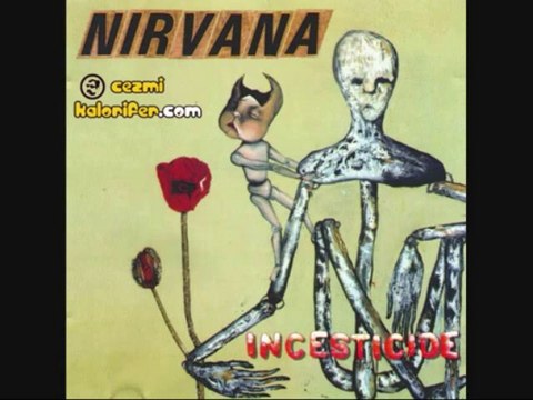Nirvana - Mexican Seafood