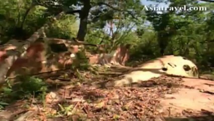 Palau Intro, Micronesia by Asiatravel.com