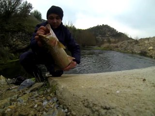 alabalık avı trofe..misina sesine dikkat.....