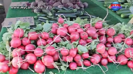 MY CAMBODIA TV - KHMER VISIT TIBET TEMPLE 1