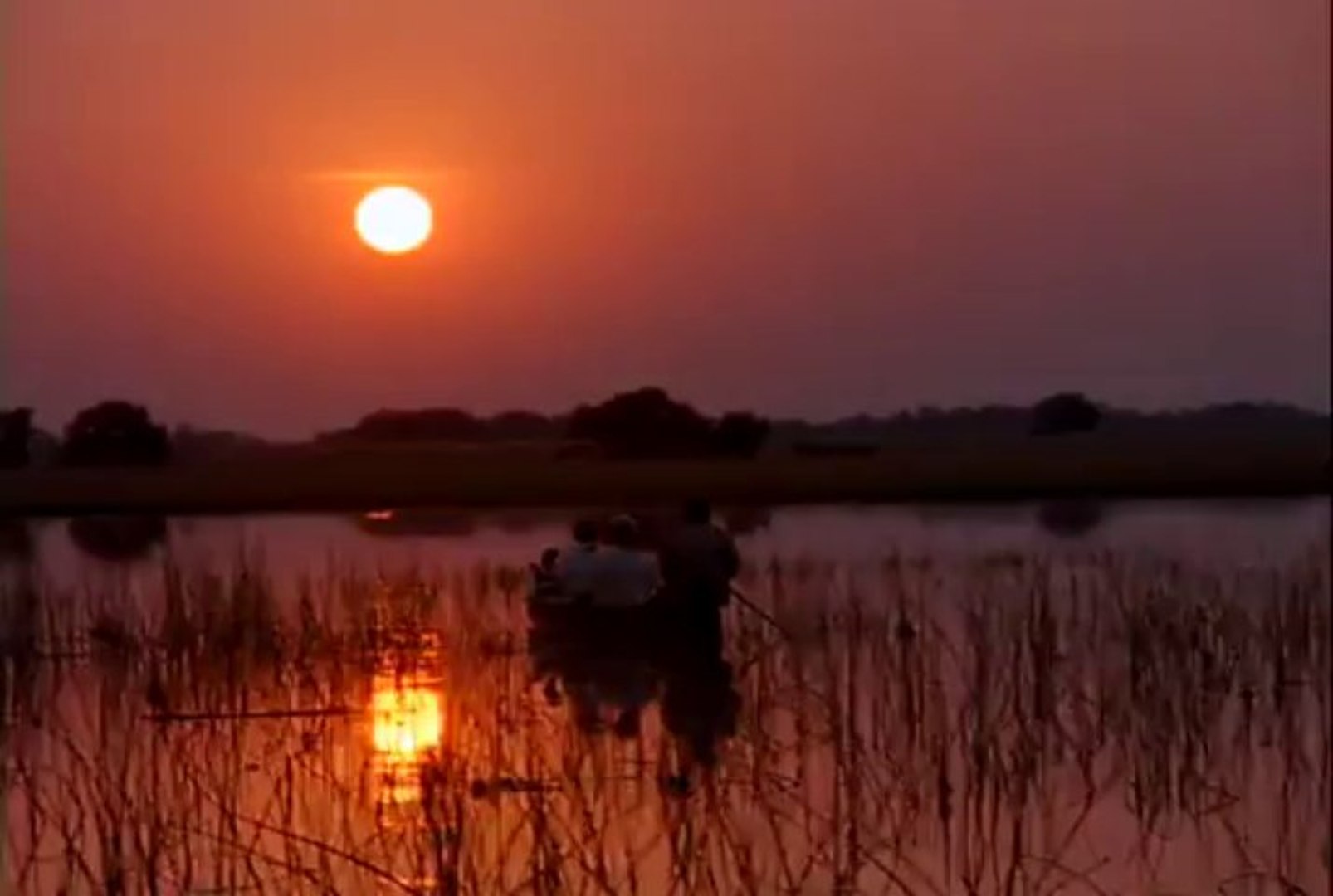 Afrique
