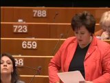 EuroparlTV - Eurodéputés supplémentaires