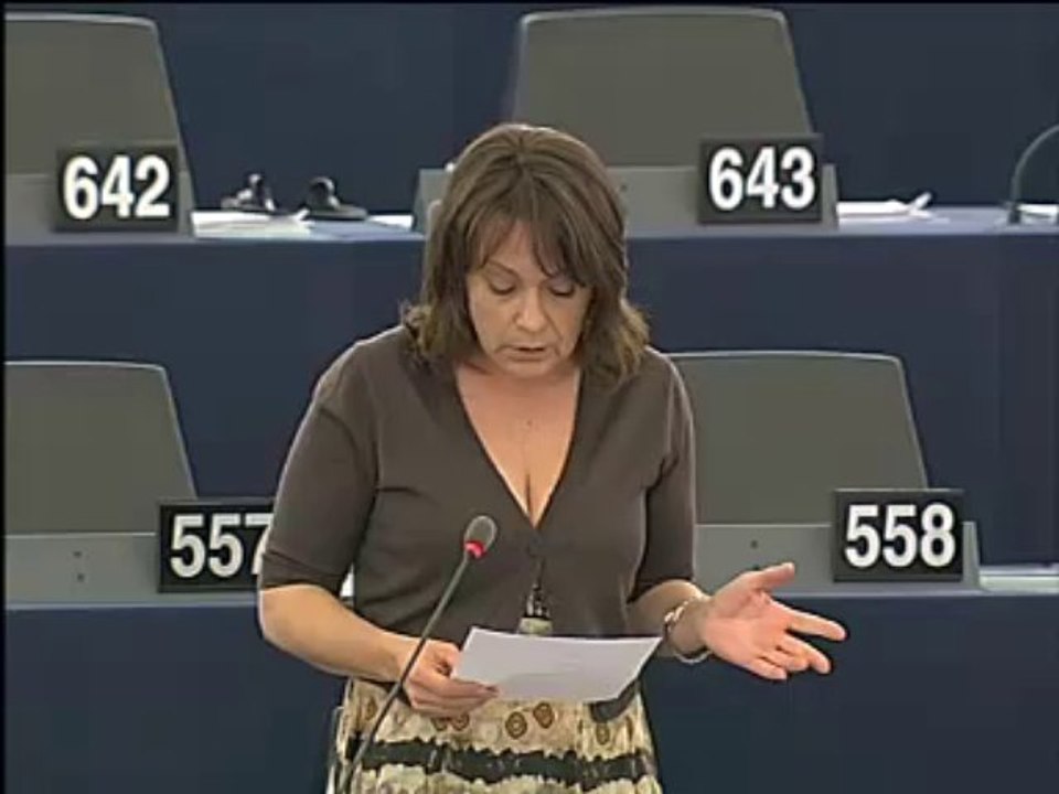 Europarl TV - Constitution hongroise