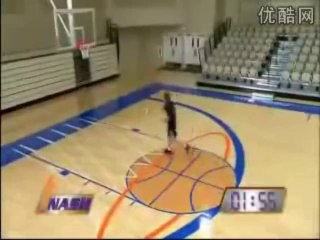 steve nash in 20 minutes