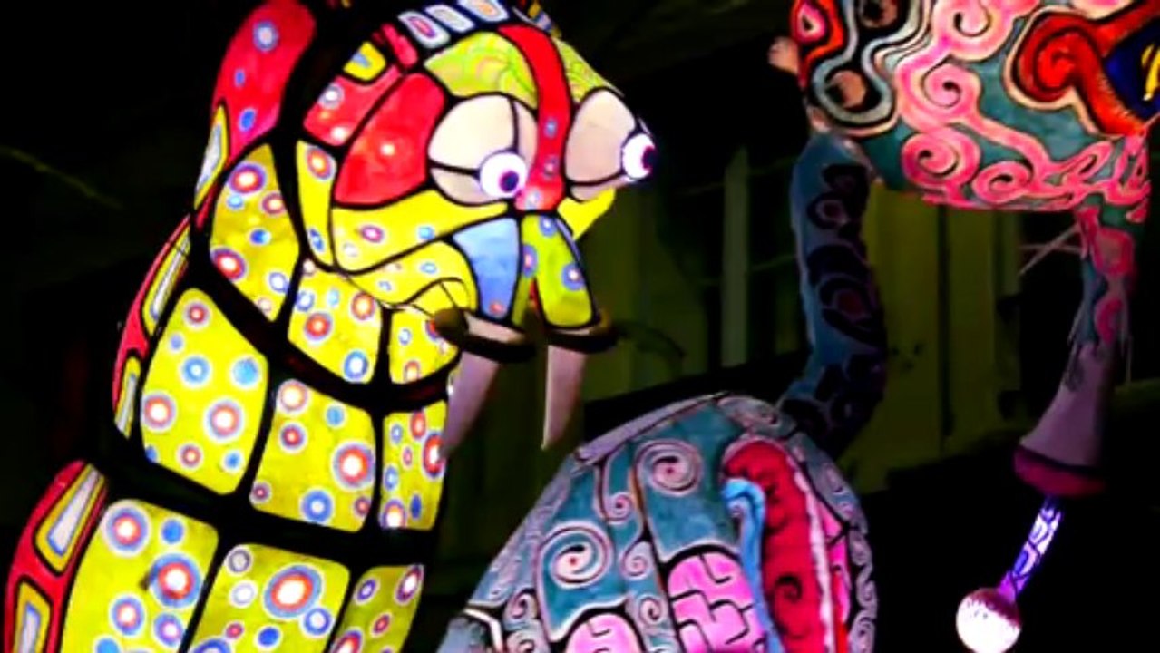 Fêtes des Lumières 2013