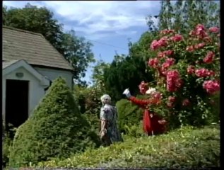 Sally Dorans Nelly Bike - Richie Kavanagh